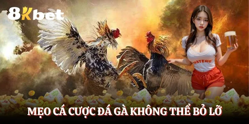 meo-ca-cuoc-da-ga-khong-the-bo-lo
