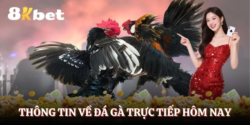 thong-tin-tong-quan-ve-da-ga-truc-tiep-hom-nay