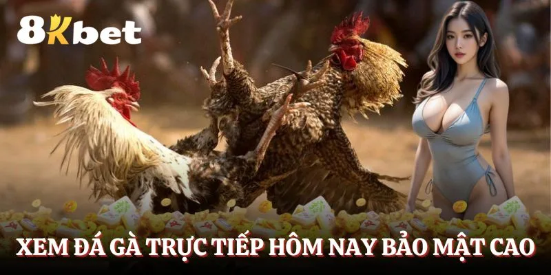 xem-da-ga-truc-tiep-hom-nay-voi-bao-mat-cao